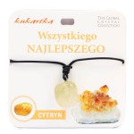Naszyjnik z cytrynem Wszystkiego najlepszego