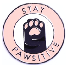 pin 18.png