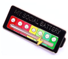 pin 21.png