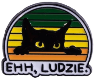 Pin przypinka metalowa do ubrania kot z kotem 74