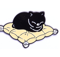 PIN  95.png