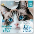 KOty kalendarz 2027.jpg