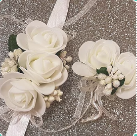 kotyliony białe.png