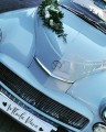 IMG_20200814_075418_432.jpg