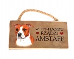 Magnes zawieszka AMSTAF prezent upominek #2