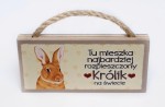 Magnes zawieszka KRÓLIK prezent upominek #60