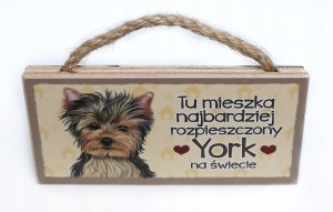 Magnes zawieszka YORK rasy prezent imieniny #50