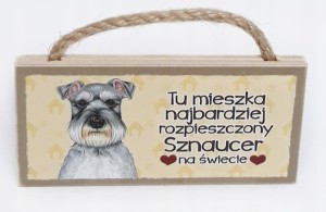 Magnes zawieszka SZNAUCER rasy prezent upominek#45