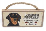 Magnes zawieszka PIES GOŃCZY rasy prezent #39