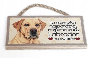 Magnes zawieszka z psem LABRADOR rasy gadżet #26