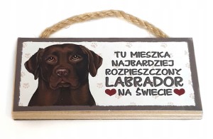 Magnes zawieszka z psem LABRADOR rasy gadżet #28