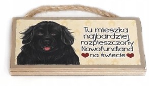 Magnes zawieszka psem NOWOFUNDLAND rasy gadżet #32