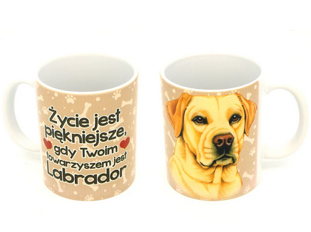 labrador życie bez.png