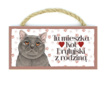 Magnes zawieszka KOT  BRYTYJSKI z kotem prezent upominek #51