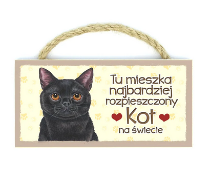 kot czarny.png
